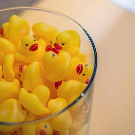 Monte Billberry Sopot